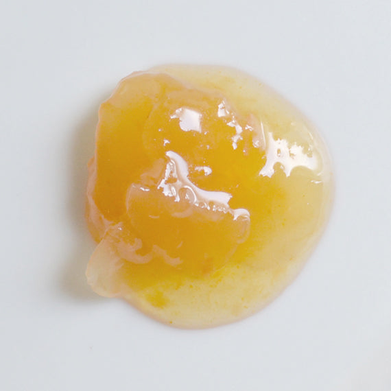 季節の6本セット(パンと料理とおやつ編)