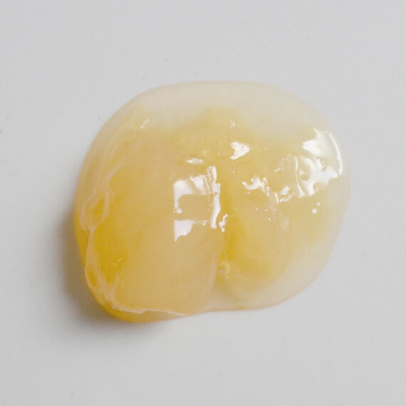 季節の6本セット(パンと料理とおやつ編)